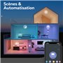CALEX Lot de 3 Ampoules Filament LED A60 E27 CCT WiFi, 7W 806lm, Alexa/Google/Siri, Blancs 1800-3000K, dimmable, scénarios, sans