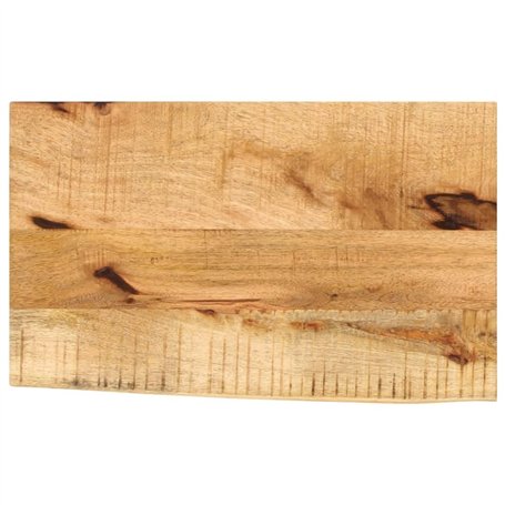 vidaXL Dessus de Table 60x40x2