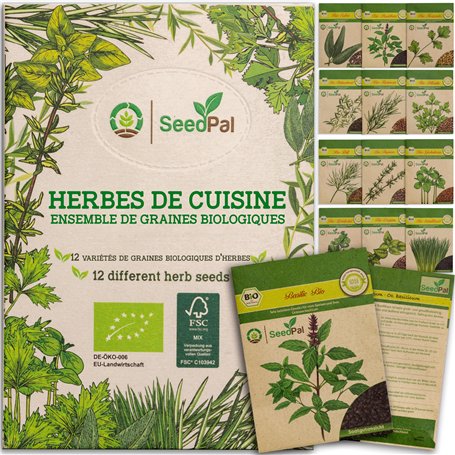 Kit Graine herbes aromatiques BIO | 12 différentes graines potager - Ton propre jardin herbes aromatiques pour la cuisine ou le