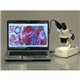 AmScope Se306r-p-e 20 x -40 X stéréo deux lumière microscope avec caméra USB