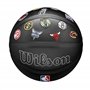 Wilson NBA All Team Premiere