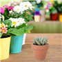 Ounona Lot de 10 mini-pots en terre cuite - pots fleurs/cactus - idéal pour plantes, loisirs créatifs, mariages, chambres d’enfa