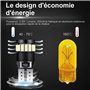Anpro 10PCS T10 LED Ampoules de Voiture 21 LEDs 6000K Lumière Blanc Froid,Lampe Canbus Sans Erreur W5W T10 194 168 2825 158 175 