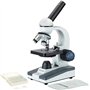 AmScope - Microscope monoculaire composé