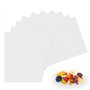 Lot de 10 films de déshydratation en silicone pour déshydrateur automatique - 37 x 29 cm - Anti-adhésif - Pour déshydrateur alim