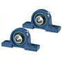DOJA Barcelona | Palier Roulement UCP 206 | 2 Roulement De Bloc d'Oreiller | ⌀ Arbre 30mm | Corps de Palier en Fonte | Roulement