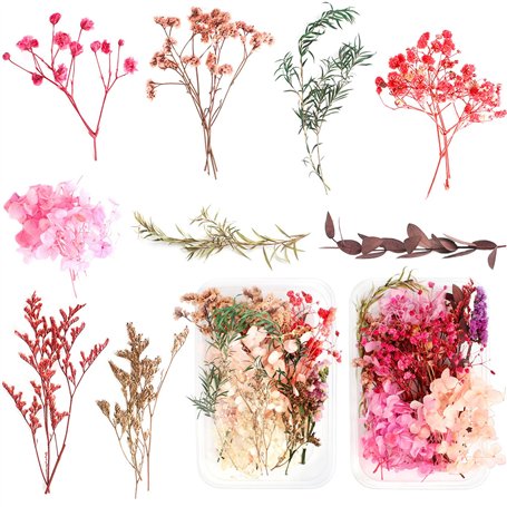 Fleurs Pressées Séchées 2 Boîtes Vraies Fleurs Séchées Naturelles Multicolores Feuilles Séchées Pressées Exquises Mélanges pour