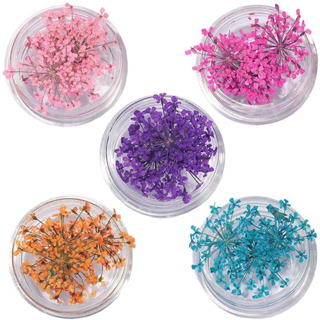 Guyode 5 Pièces Fleurs Séchées 3d pour Nail Art Decoration Ongles Nail Art 5 Couleurs Deco Ongle D'autocollants L'art des Ongles