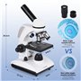 Tuword Microscope(40-1000X) Optique Microscopes Biologique Monoculaire avec Source De Lumière LED Et Support De Téléphone Portab