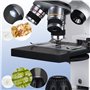 Tuword Microscope(40-1000X) Optique Microscopes Biologique Monoculaire avec Source De Lumière LED Et Support De Téléphone Portab