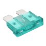 Heschen Lot de 50 fusibles à lame standard ATC-30 assortis pour voiture camion 30 A émeraude
