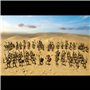 Wargames Atlantic Classique Fantasy Squelette Armée