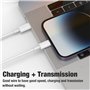 Chargeur Rapide USB C 20W avec Câble USB C vers Lightning 1m Certifié MFi pour iPhone 14/14 Pro/14 Pro Max/14 Plus/13/12/11/SE/X