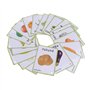 20 Pcs-Vegetables Flash Cards-Jouets éducatifs d'apprentissage préscolaire et Cartes Flash de Mots d'images d'apprentissage,12x9