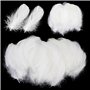Paquet De 600 Plumes Blanches Artisanales