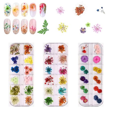 Fleur Séchée pour Ongles 3 boîtes 36 Couleurs Nail Applique 72 pièces 3D Nail Art Fournitures Applique pour Bricolage Nail Art d