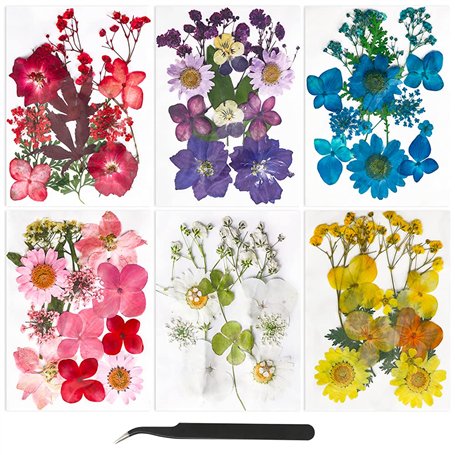 Cadeau Anniversaire Maman Fleurs Pressées Séchées Fleurs séchées Naturelles Fleurs Sechees à Ongles Multicolores pour resine epo