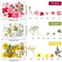 Cadeau Anniversaire Maman Fleurs Pressées Séchées Fleurs séchées Naturelles Fleurs Sechees à Ongles Multicolores pour resine epo