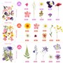 NVIYAM 66Pcs Fleurs Sechees Naturelles Vraies Fleurs Pressées Séchées Ensemble de Fleurs Séchées Pressées Naturelles Bricolage M