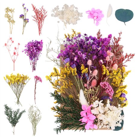 NVIYAM Ensembles de Fleurs Séchées Naturelles Vraies Fleurs Pressées Décoration Naturel Fleur Sechees Fleurs Mélangées Naturelle