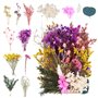 NVIYAM Ensembles de Fleurs Séchées Naturelles Vraies Fleurs Pressées Décoration Naturel Fleur Sechees Fleurs Mélangées Naturelle