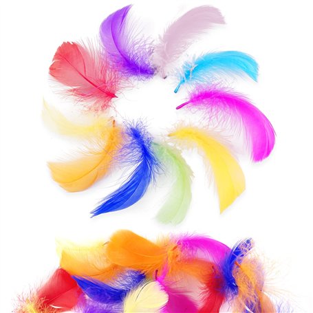 Firschoie 500 Pcs Plumes Colorées