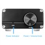 DollaTek 100W Mini amplificateur de Puissance pour subwoofer TPA3116D2 Audio HiFi Amp - Noir