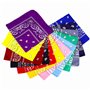 Bandanas avec Motif Paisley