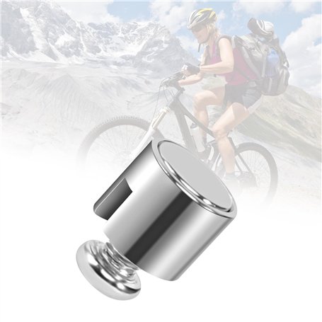 DELAESI Aimants pour rayons de vélo - Aimants pour rayons de vélo - Pour vélos électriques