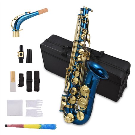 Btuty Saxophone alto en laiton gravé en mi bémol avec coquillage d'ormeau