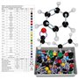 Hztyyier 267Pcs Modele Moleculaire