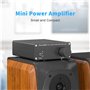 Mini Hi-FI Classe D Intégré TPA3116