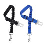 Ceinture Chien Voiture