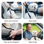 Ceinture Chien Voiture, 2 Pièces Harnais Voiture Chien de Sécurité Supérieure avec Absorption des Chocs et Mousqueton élastique 