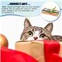 Jeux pour chat, lumière gatto : Set de 50 jouets interactifs pour chat, Jeu chat, ressort chat - Parfaits pour le jeu quotidien 