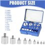 Lot de 17 poids de calibrage de précision en acier inoxydable - Kit de poids d'étalonnage pour balances de bijoux numériques - 1