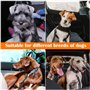 DATEFUN Ceinture Chien Voiture - 2 Pièces Ceinture Securite Chien Voiture avec Absorption des Chocs et Sac de Rangement - Réglab