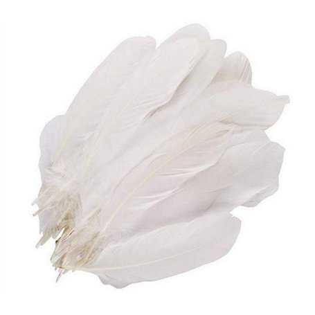 Lot de 100 plumes d'oie blanches pur de 15