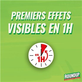 Rangement Bureau Organisateur