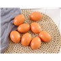 Œufs de Poule Faux Oeufs de Poule Lot de Faux œufs en Bois pour Aider à pondre des Poules - Outil agricole - Mannequin de nid de