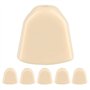 6pcs Chevilles de Guitare, Tuning Pegs Boutons de réglage en Acrylique pour Guitare Folk électrique(Beige)