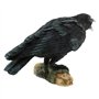 Nemesis Now Figurine appeau de Corbeau Noir 16 cm