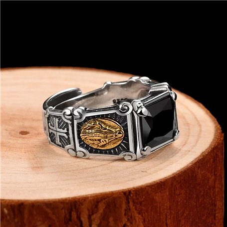 Harnais pour Chien Coachi