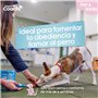 Harnais pour Chien Coachi