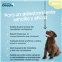 Harnais pour Chien Coachi