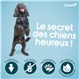Coachi Friandises Naturelles pour Chiots - Friandises sans Céréales, Saines et Hypoallergéniques. Friandises Moelleuses Faciles 
