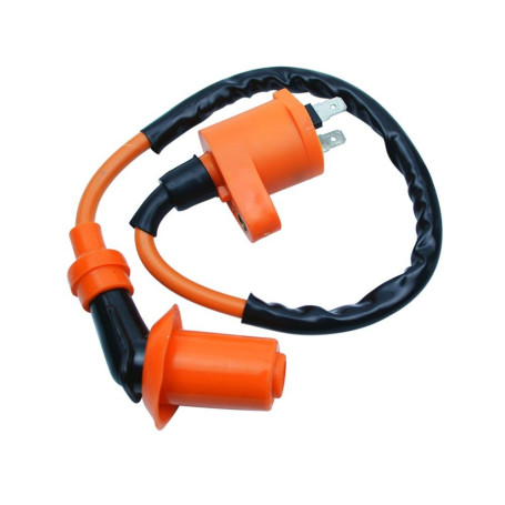 Twowinds - Bobine d'Allumage pour Moto