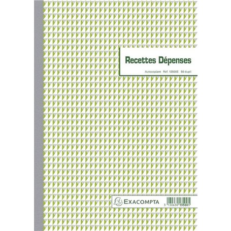 Exacompta - Réf. 13500AE - 1 Manifold RECETTES DÉPENSES - 50 feuillets numérotés et autocopiants - triplicatas (1 original + 1 c