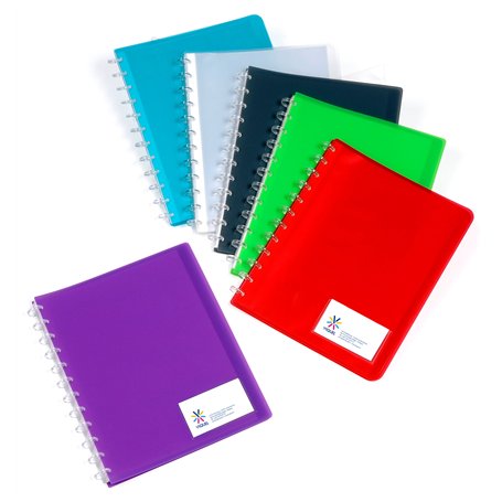 Viquel 097795-49 Geode Lot de 12 Protège-documents avec pochettes amovibles A4 en plastique 40 Vues Couleurs Assorties