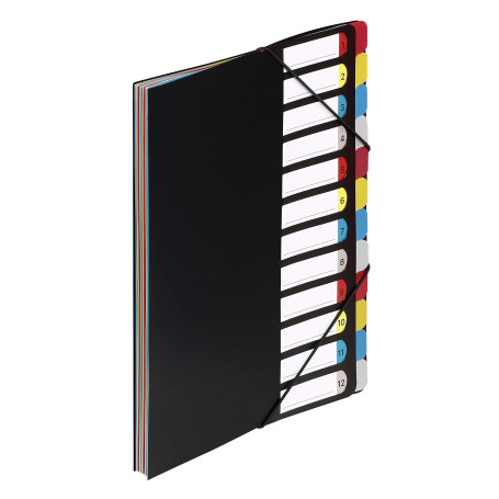 Viquel - Trieur extensible A4 - Classeur 12compartiments - Organisateur de bureau avec onglets personnalisables - Trieur accordé